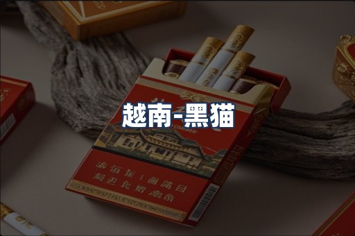 越南黑猫